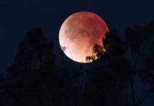 Eclipse lunar: la “luna de sangre” cautiva el cielo de Toluca Eclipse lunar-Luna de Sangre