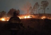 Incendio de pastizal en el cerro de San Luis Obispo moviliza a Bomberos de Toluca Incendio de pastizal- cerro de San Luis Obispo.