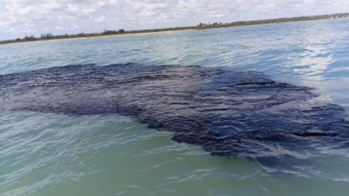 Mar Golfo de México-Derrame de petróleo 2026.