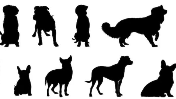 Silueta-Mascotas-Perros. Silueta-Mascotas-Perros.