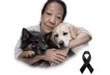 Detienen a presunto responsable del asesinato de Diana Belén defensora animal Diana Belén-Activista-Defensora de animales-Feminicidio.