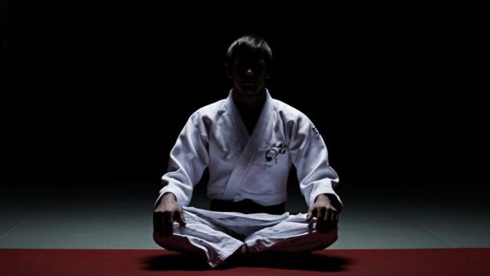 Disciplina en Artes Marciales