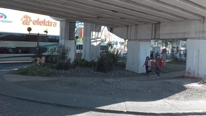 Limpieza-bajo puentes-Toluca