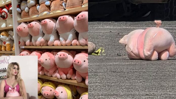 Marranito simbolo de la muerte Marranito simbolo de la muerte