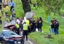 Identifican a presunto responsable del caso Wendy Saray mujer muere tras choque en tollocan