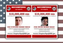 Hijos de “El Chapo” analizarían entregarse a Estados Unidos ante presión contra “Los Chapitos” recompensa por los hijos del chapo