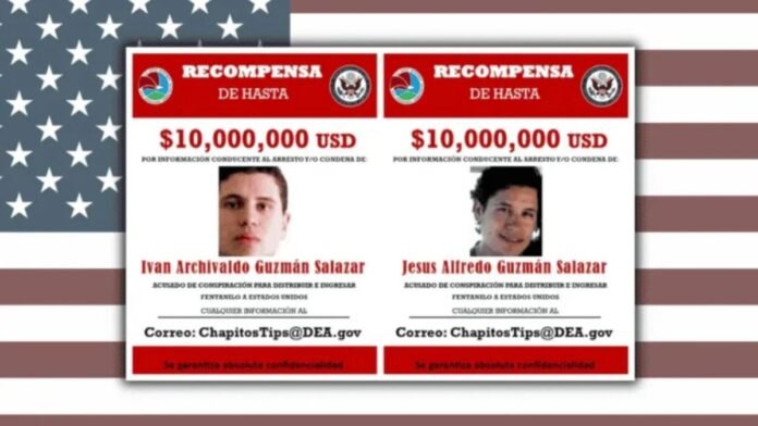 recompensa por los hijos del chapo