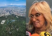 Adela Micha es parte del “CARTEL INMOBILIARIO” de CDMX Adela Micha en cartel inmobiliario