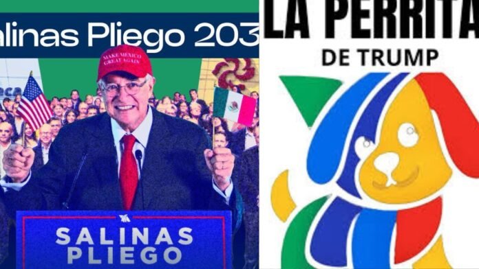El fallido intento de Salinas Pliego por borrar la palabra P de Trump para posicionar la p de Monsiváis de internet