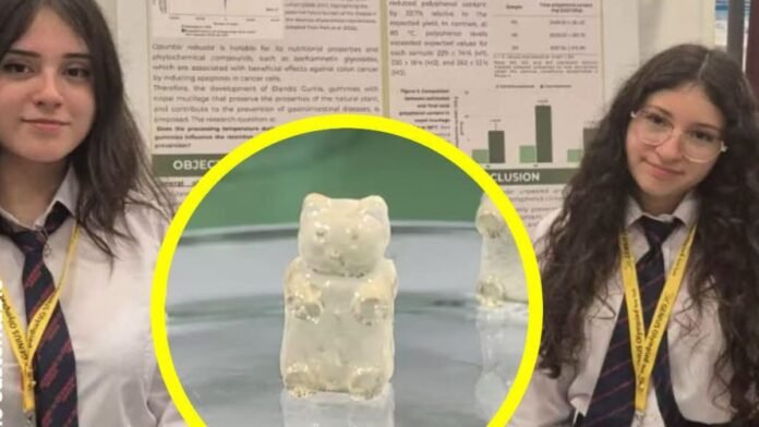 estudiantes chilenas crean gomita de nopal con propiedades a la salud estudiantes chilenas crean gomita de nopal con propiedades a la salud
