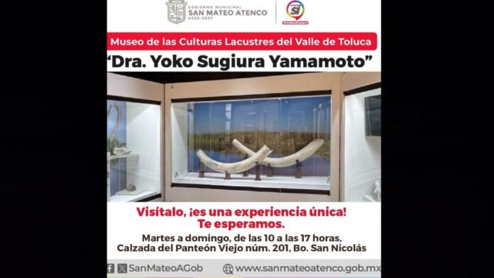 Museo de las Culturas Lacustres de San Mateo Atenco invita a descubrir la historia del Valle de Toluca
