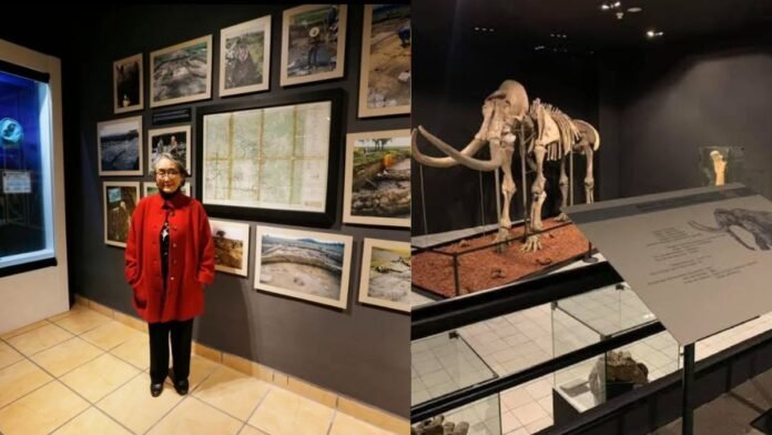 Museo de las Culturas Lacustres de San Mateo Atenco invita a descubrir la historia del Valle de Toluca
