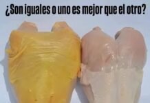¿Pollo amarillo o pollo blanco? La verdad detrás de su color y cuál es más saludable ¿Pollo amarillo o pollo blanco? La verdad detrás de su color y cuál es más saludable