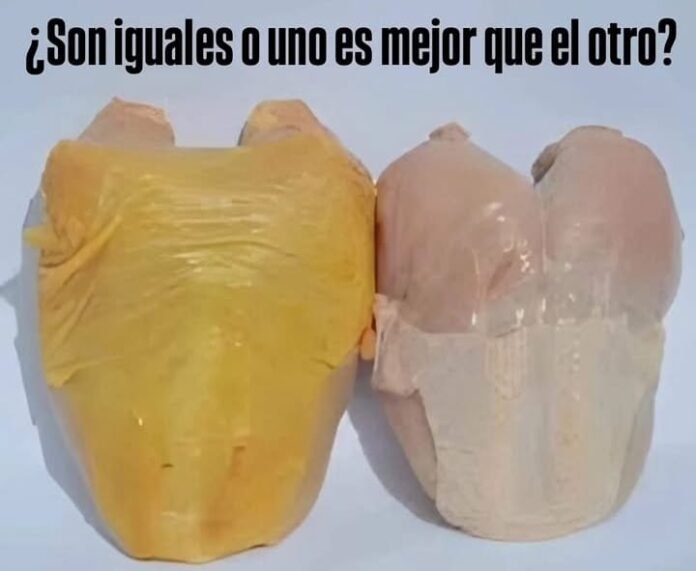 ¿Pollo amarillo o pollo blanco? La verdad detrás de su color y cuál es más saludable