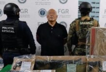 Detienen en Manzanillo a operador de “La Mayiza”; aseguran droga, armas y cartuchos cae el cebollo