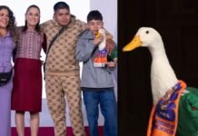 ¿Qué animales serían beneficiados por la “Ley Merlín”? pato Merlin ley merlin