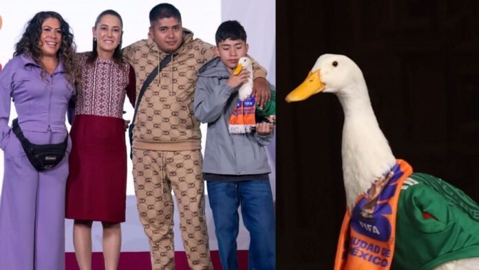 pato Merlin ley merlin