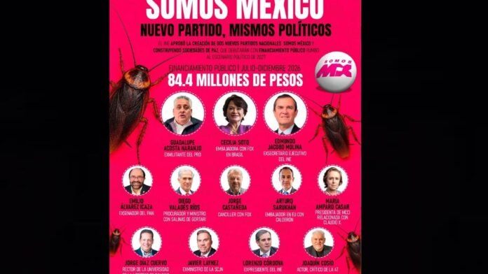somos MX