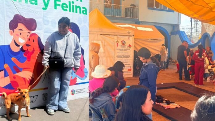 San Mateo Atenco fortalece el bienestar animal con jornada gratuita de esterilización y vacunación antirrábica