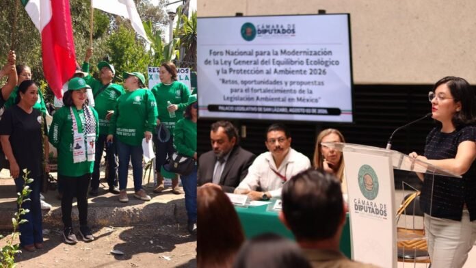 Xóchitl Zagal impulsa agenda ambiental con acciones comunitarias y participación en la modernización de la LGEEPA
