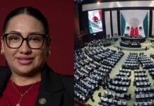 Muere Anay Beltrán Reyes, diputada federal de Morena por Tultitlán, a los 44 años Anay Beltrán Reyes