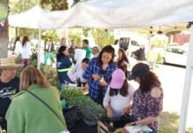 San Mateo Atenco realiza Feria Ambiental y Reciclatón con entrega de árboles y plántulas San Mateo Atenco realiza Feria Ambiental y Reciclatón con entrega de árboles y plántulas
