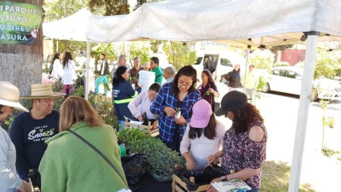 San Mateo Atenco realiza Feria Ambiental y Reciclatón con entrega de árboles y plántulas