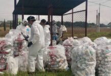 Jocotitlán ignagura ocopio de envases de insecticidas para proteger el medio ambiente acopio de envases de insecticidas