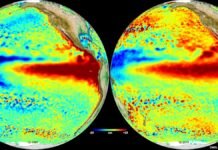 El Niño 2026 superará los récords de 1997: ¿Estamos realmente listos ante la peor amenaza climática? Fenomeno del el niño