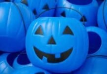 Calabazas azules en Halloween y Día de Muertos: el símbolo de inclusión para la niñez Calabaza Azul