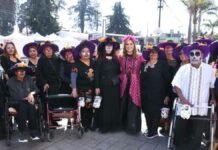 San Mateo Atenco vive la tradición: personas adultas mayores protagonizan el Recorrido de Catrinas en el Festival Todos Santos San Mateo Atenco vive la tradición: personas adultas mayores