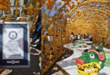 ¡Historia dulce! Toluca rompe el Récord Guinness con el alfeñique más largo del mundo Récord Guinness el alfeñique mas grande del mundo