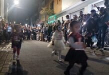 ¡Alegría y tradición! La Carrera Infantil de Catrinas y Catrines de San Mateo Atenco ¡Alegría y tradición! La Carrera Infantil de Catrinas y Catrines de San Mateo Atenco fue un rotundo éxito